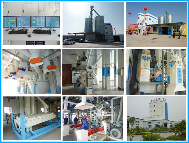 Multifunctional Floating Fish Feed Pellet Machine All In One Middle Scale