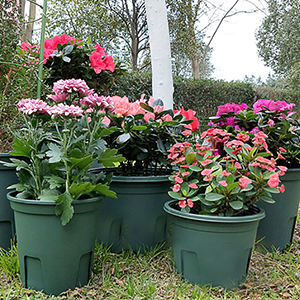 Planters for Indoor Plants, Planters with Drainage Hole and Tray, Flower Pots Indoor Plant Pots for Patio Garden