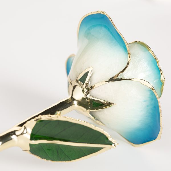 24k Gold Eternal Rose Flower Real Preserved Rose  Blue White Preserved Fresh Flower Preserved Gold Rose