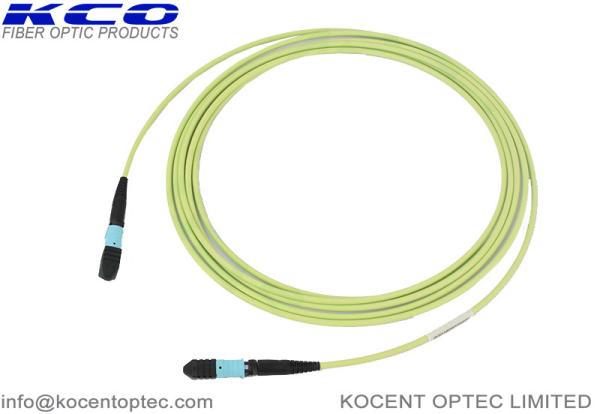 OM5 50/125 MPO MTP Patch Cord Female Truck Cable Interconnect Assemblies