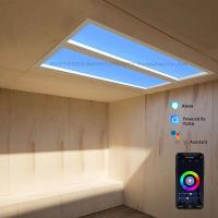110VAC painel de clarabóia de LED artificial virtual escurecimento 60x120 CCT 6500K 8000lm
