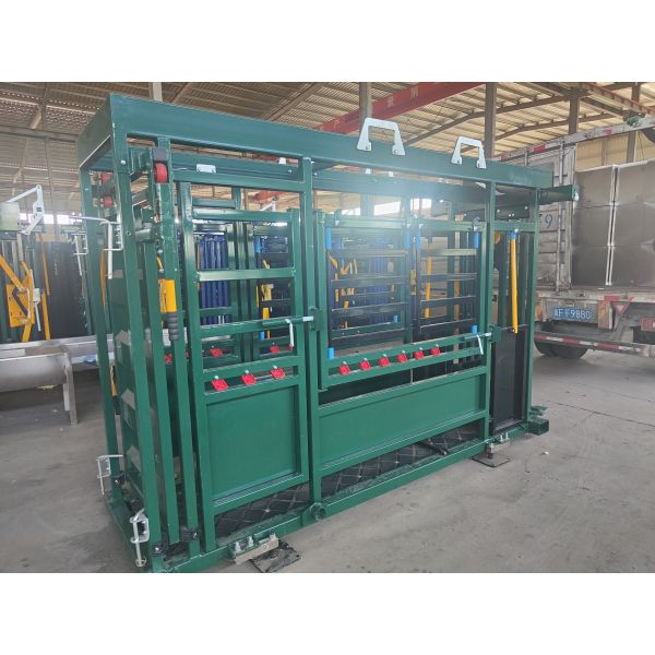 Heavy Duty Hot Galvanizzed Cattle Crush With Weighing System