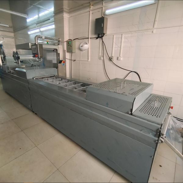 Linha de produção de embalagens a vácuo de gelatina de escamas de burro Máquina de embalagem a vácuo de termoformagem