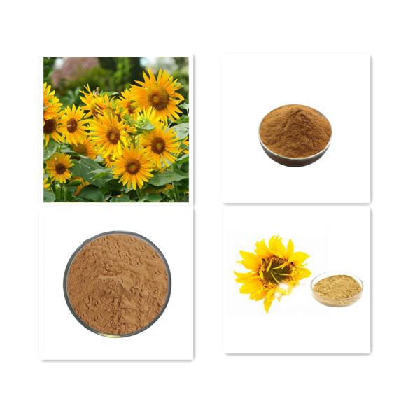 Очищенность порошка 98% цветня пчелы естественного солнцецвета сырцовая