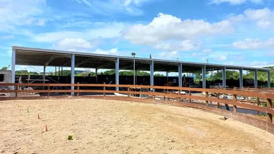 Q235 Light Steel Structure Warehouse Metal Construction Prefab Metal Storage Sheds