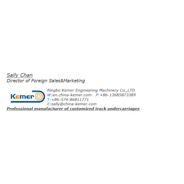 Directly Supplied SAI Hydraulic Motor with Other Displacement 25 Mpa Rated Pressure