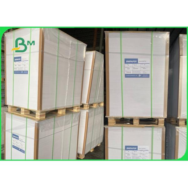 1S PE 240 papel de la acción de la taza G/M + 20g para las bebidas calientes 747m m 886m m reciclables