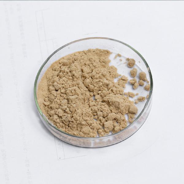 Type 5 Phosphodiesterase 20000U/G~50000U/G Phosphodiesterase 5 Enzyme