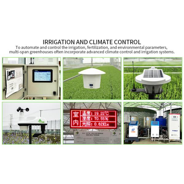 6m-12m Multi-Span PE Film Greenhouse Kit with Hot Dip Galvanized Steel Frame and Customizable Micro-sprinkler System