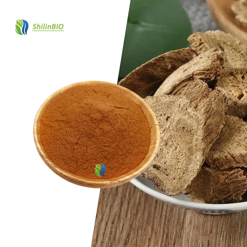 High Quality Food Grade Aucklandiae Radix Extract 5:1 10:1 20:1