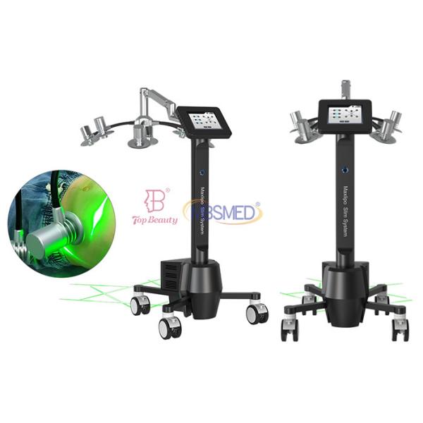 corps de laser de 532nm Lipo amincissant la machine gros Emerald Laser Machine