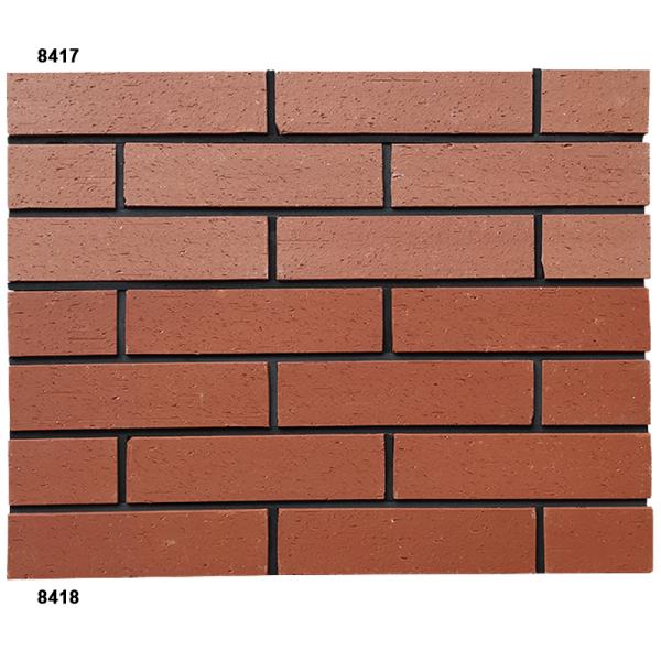 Briques fines, briques minces, extérieur, hôtel, villa, bâtiment, façade, carrelage mural