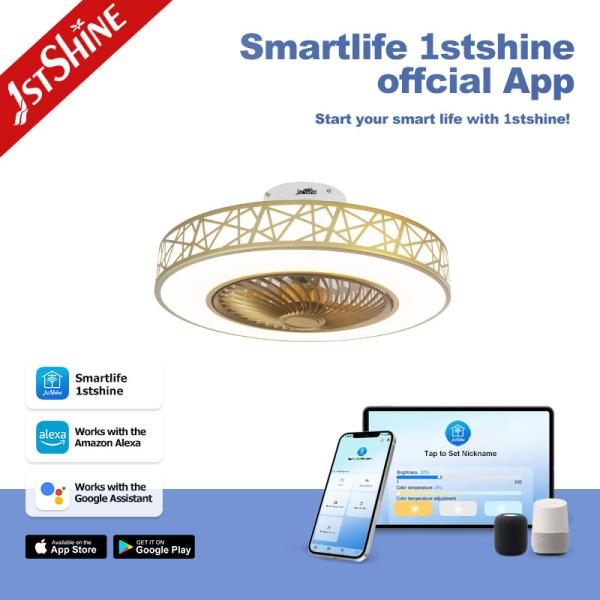 Ventilateur de plafond à LED de 20 pouces avec commutateur de contrôle à distance et commande murale