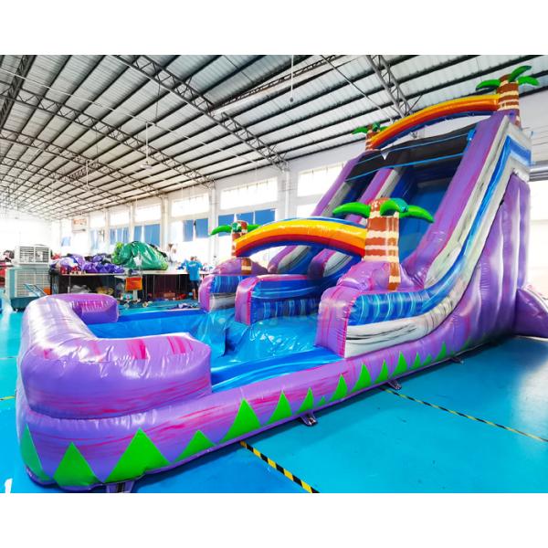 謝肉祭の大人の跳ね上がりの家屋外の膨脹可能な水スライド