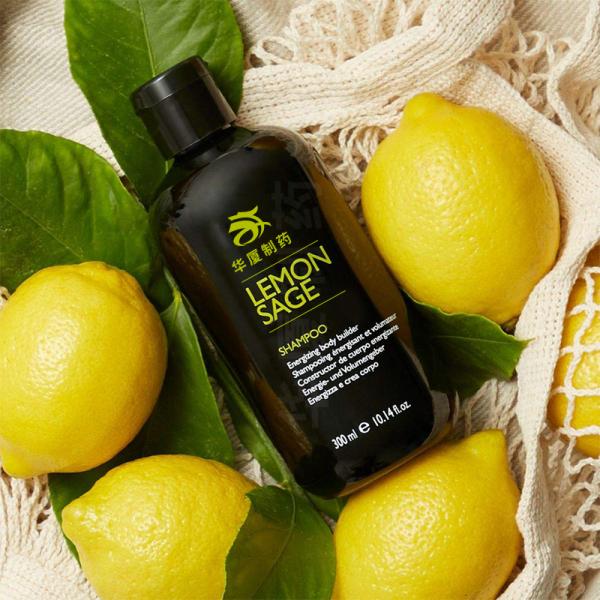 Tea Tree Lemon Sage Thickening Hair Shampoo Tea Tree Seed Oil