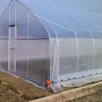 La inmersión caliente galvanizó el invernadero plástico del solo SpanWaterproof de la película del acero los 4m túnel de la cubierta los 9m