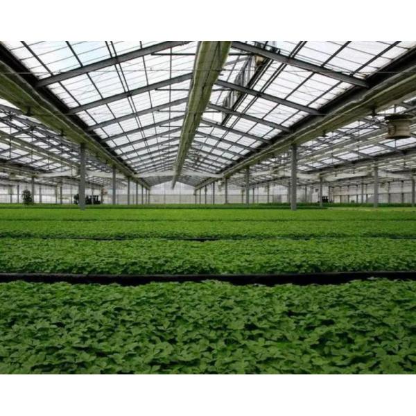 Предлагается вариант настройки теплоизоляции коммерческих фотоэлектрических теплиц