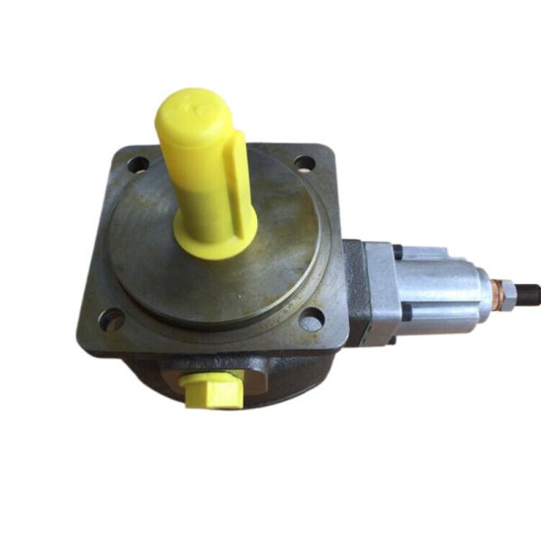 Rexroth R900950953 PV7-2X/20-20RA01MA0-10 Ferro fundido 100Bar 5000 PSI