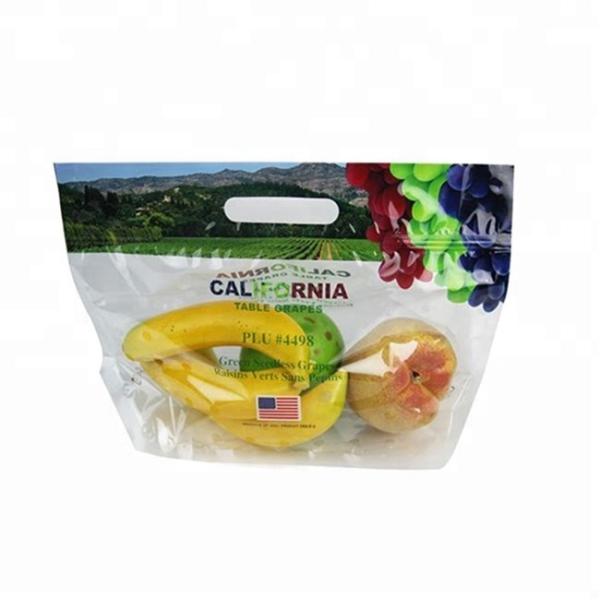 Stand Up Pouch Zipper Fruit Packaging Bags Custom Plastic With Handle Holes