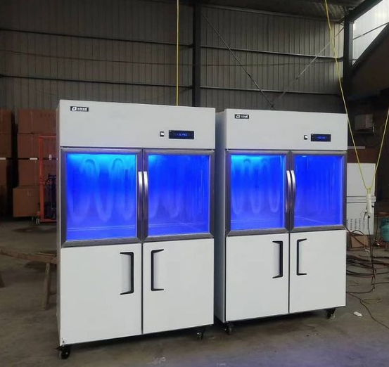 Glass Door Stainless Steel Freezers Double Temperature 220V