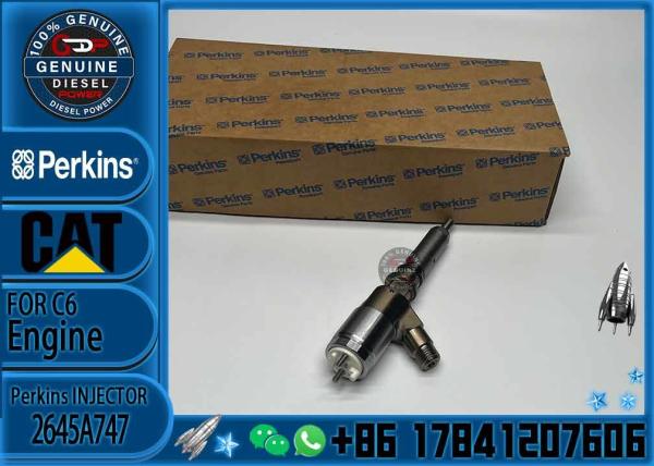320D Diesel Common Rail Fuel Injectors 10R-7672 320-0680 For Caterpillar CAT C4.4 C6.6 Engine PERKINS 2645A747