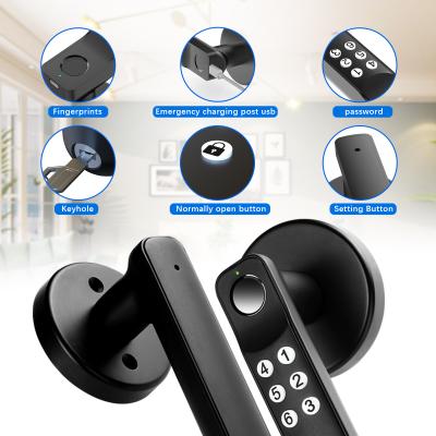 T01 Fechadura de porta de impressão digital, fechaduras de entrada sem chave Fechadura de porta biométrica com teclado de silicone, para apartamento de escritório doméstico