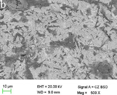 Металл XTCERA CoCr мягкий сплав основного металла Со-Cr 500MPa кобальта 66.0wt% зубоврачебный