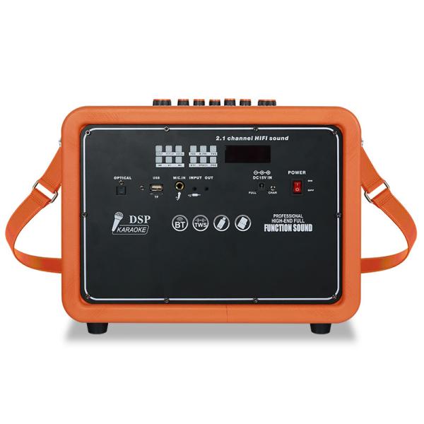 All In One Portable Karaoke Speaker High Definition Bluetooth / AUX / USB