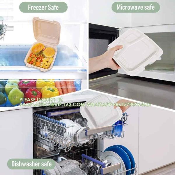 Wholesale 8 Inch Degradable Snap Button Clamshell Lunch Wrapper Bento Box Disposable Food Take Away Packaging