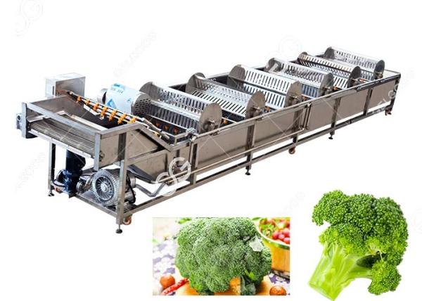 Industrial Frozen Broccoli Cauliflower Vegetable Washing Cleaning Production Line