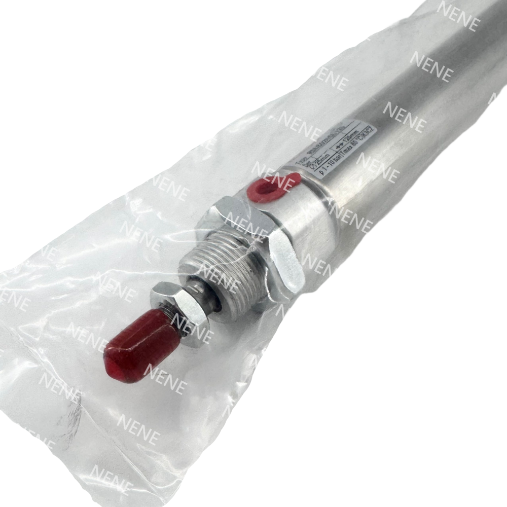 RM/28010/M/100 Magnetic Ø10mm 100mm Stroke Cylinder NORGREN Reed Switch Compatible Compact Stainless Design