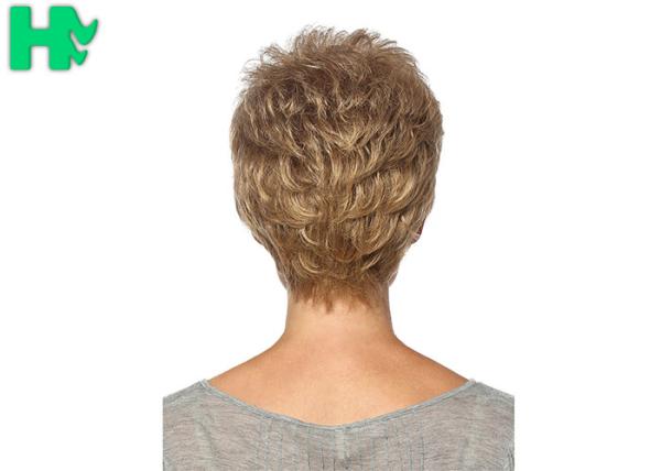 Short Synthetic Wigs Lace Front Wigs With Baby Hairline No Shedding