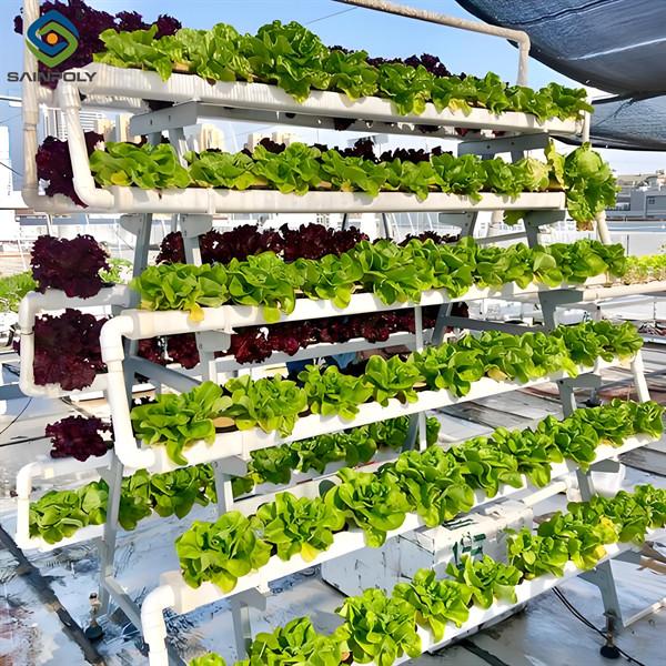 SAINPOLY Agriculture Greenhouse Hydroponics Greenhouse Steel Frame Weather Proof