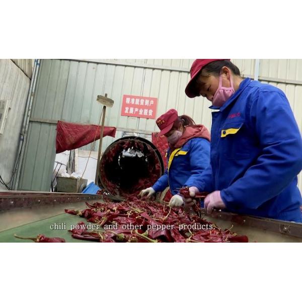 ОБЪЯВЛЕНИЕ Guajillo Chilis вишни 8000SHU красное суша стручки Чили Guajillo вставляет форму