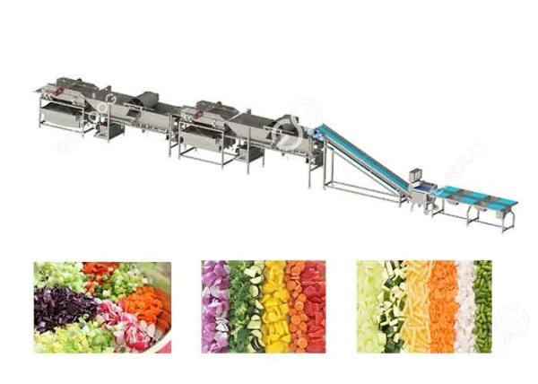 Commercial Vegetable Fruit Washing Equipment Vegetable Processing Line for vegetable processing plant