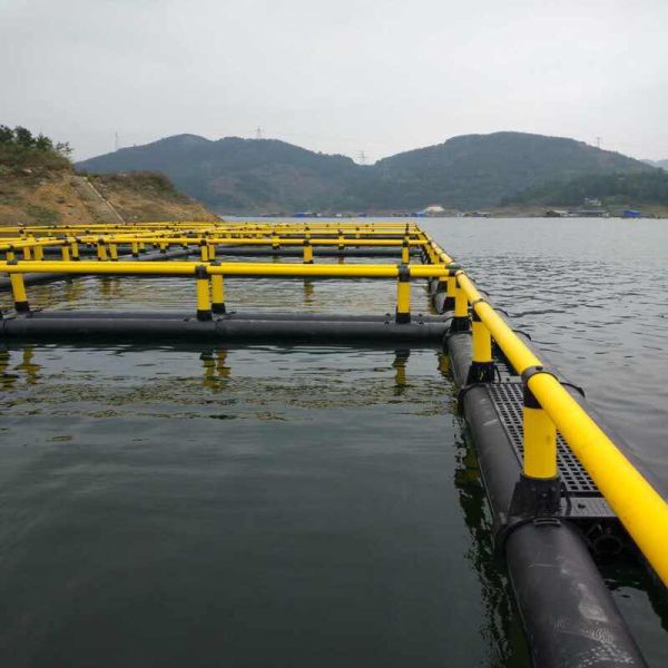 4m×4m HDPE Square Floating Fish Cage For Tilapia Farming