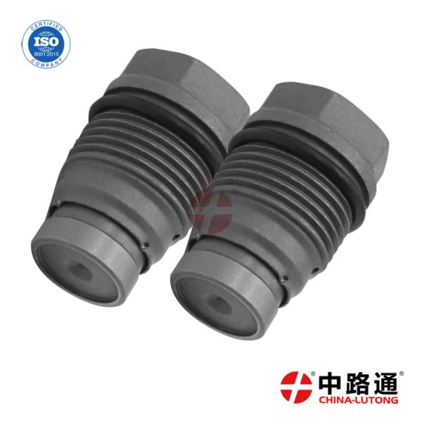 Common Rail Piezo Injector Control Valve Kit 1 110 010 024 for Buy  Pressure Relief Valve
