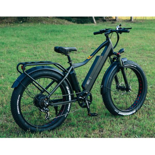 48V 1000W 17AH Lithium Battery OEM EN15194 CE Customized Electric MTB Mountain Fat Tire Bike