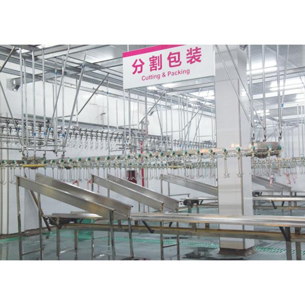 Customized Voltage Halal Poultry Slaughter Equipment for High Capacity Processing