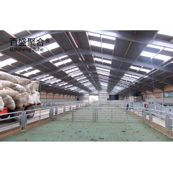 ISO9001 2008/CE/BV Certified Steel Structure for Fabricated Poultry and Goat