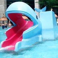 Funny Water Play Equipment / Cartoon Whales Shaped Kids Water Pool Slide for Aqua Park