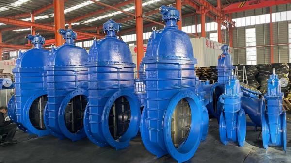 Cast Iron GGG50 Non Rising Stem Resilient Seated Gate Valve for Customized Port Size