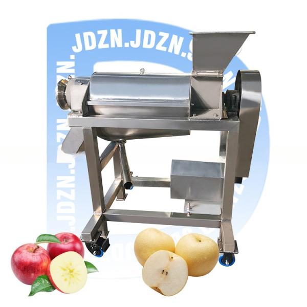 High Quality Commercial Fruit Juice Making Machine Industrial Cold Press Juicer