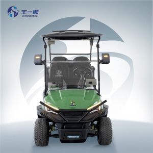 Nev Golf Cart Manufacturers for Sale ODM 4 Seater Golf Cart Classic 48 Volt 4x4 Utility Cart