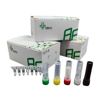 5-20 Mins Diagnostic Kit For Blood Sample Within Animal Feline Leukemia Disease Kit