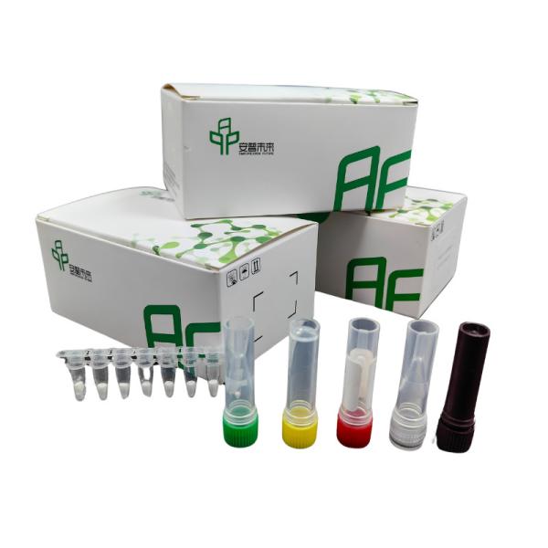 5-20 Mins Diagnostic Kit For Blood Sample Within Animal Feline Leukemia Disease Kit
