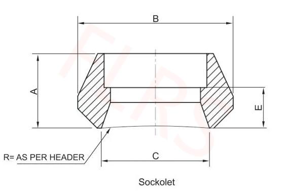 Forged Stainless Steel Sockolet Pipe Fittings MSS SP97 Integrally Reinforced 3000LB