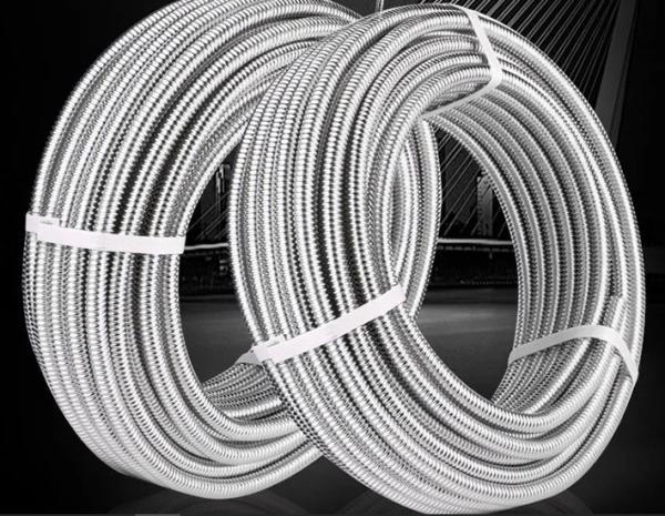 Stainless Steel 304 Flexible Hoses Chrome Plated Spiral Metal Brass Handheld Shower Hose