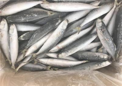 Saudáveis estripados dão forma à isca de pesca congelada 80g do mar 60g