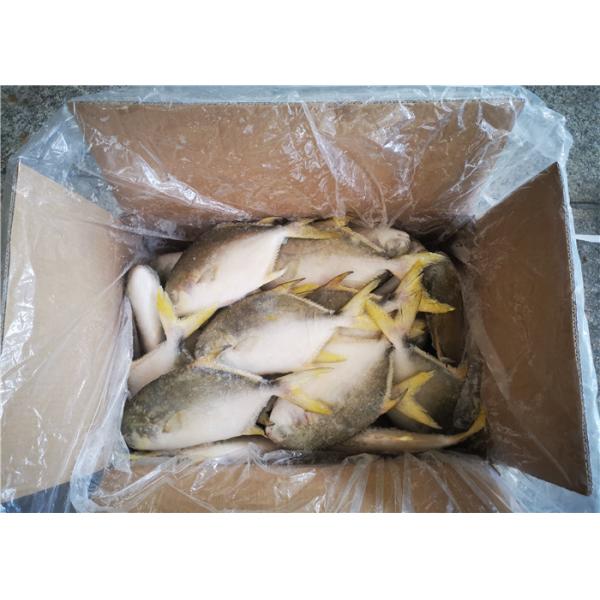 Морепродукты золотых рыб брамы свежие замороженные